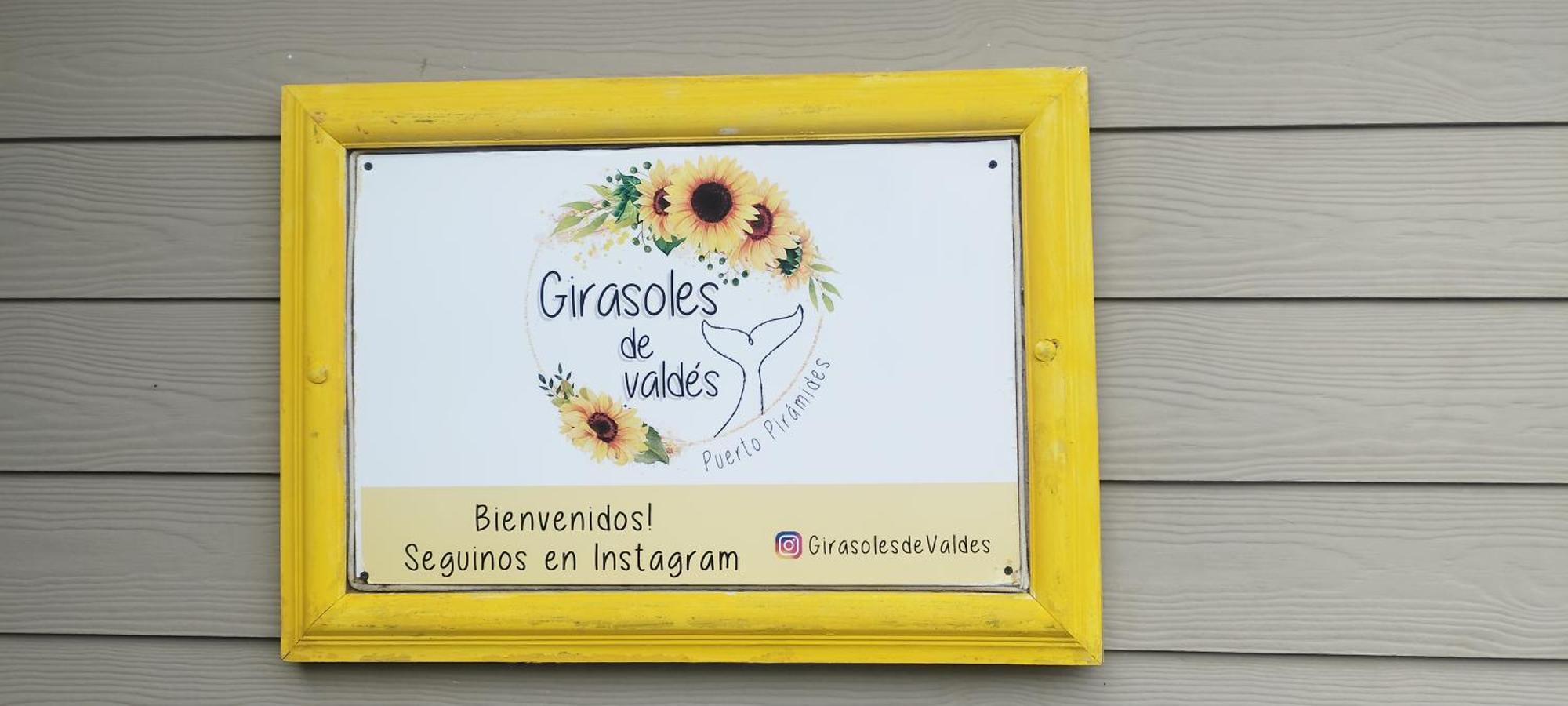 הוילה פורטו פיראמידס Girasoles De Valdes מראה חיצוני תמונה